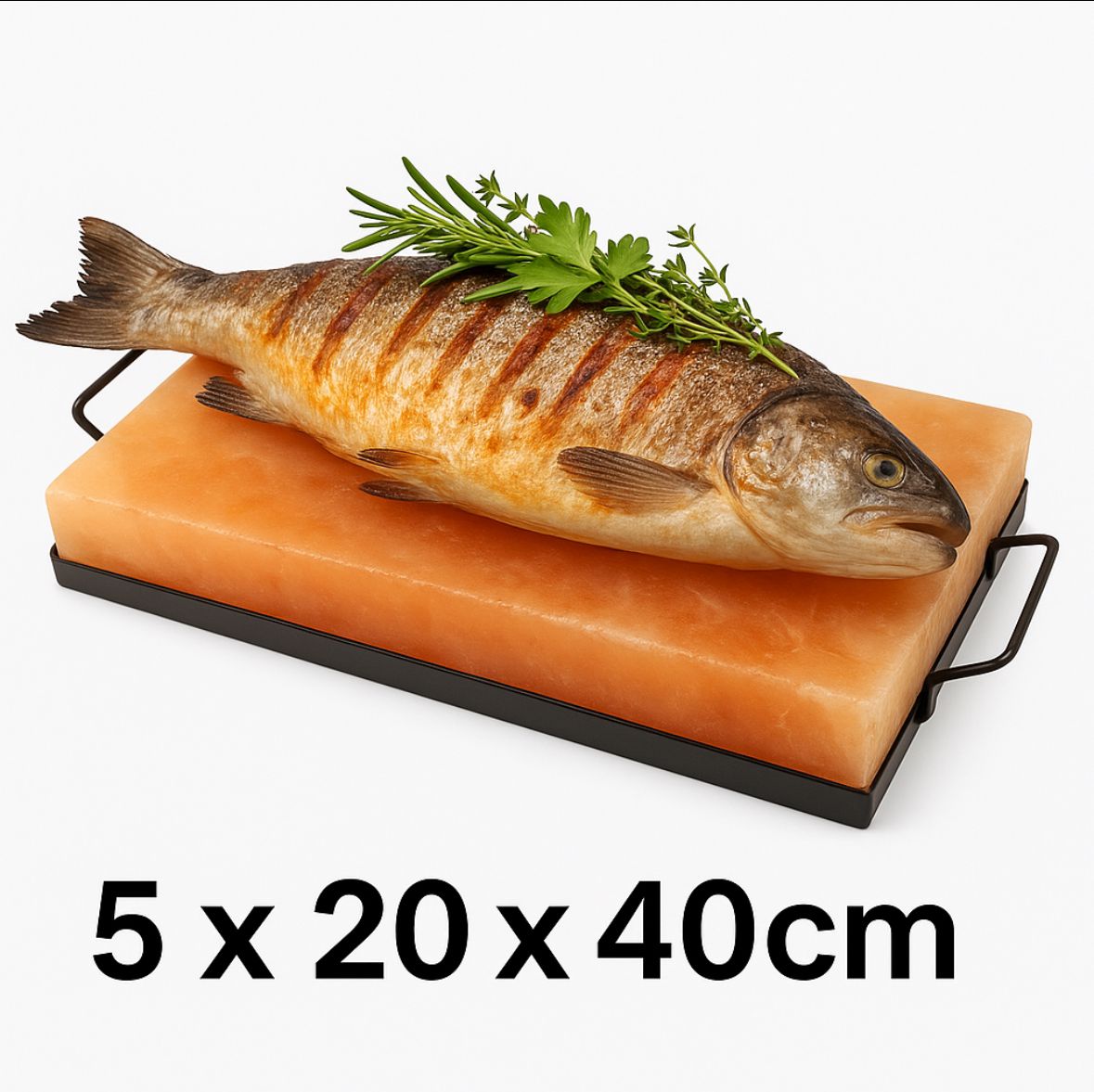 Slateex Salzstein XXL mit Gestell